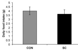 A graph showing how much food each group of mice ate in a day